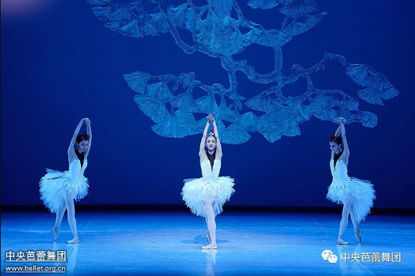 说明: 说明: http://39.96.12.65:82/_img/ballet/2019/08/19/20190819152515558001.png