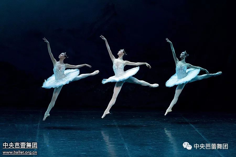说明: 说明: http://39.96.12.65:82/_img/ballet/imageRepository/b0cb44cd-0c53-4961-abcf-7ef29a0e49e3.jpg