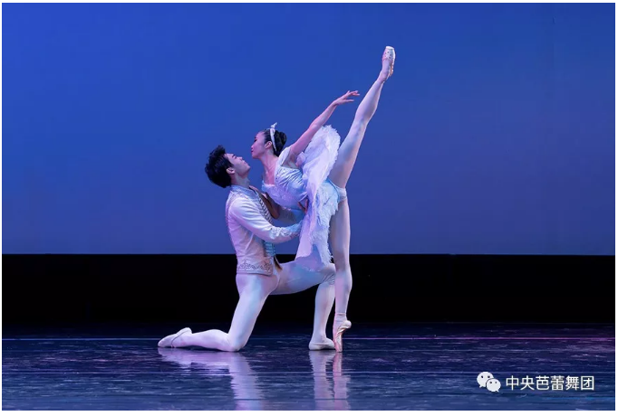 说明: 说明: http://39.96.12.65:82/_img/ballet/2019/08/17/20190817135101515001.png
